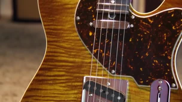 Katı Kahverengi Bir Elektro Gitarı Tek Bobinli Kaplumbağa Kabuklu Gümüş — Stok video