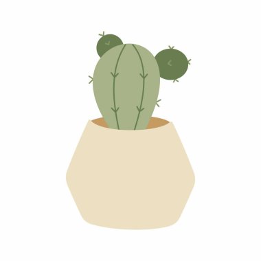 Şirin bir kaktüs. Kaktüs süsleme resmi. Çok az..