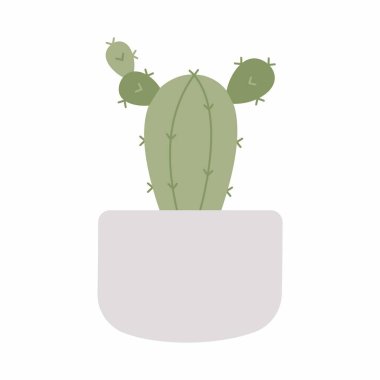 Şirin bir kaktüs. Kaktüs süsleme resmi. Çok az..