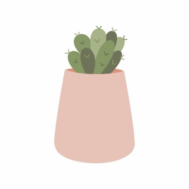 Şirin bir kaktüs. Kaktüs süsleme resmi. Çok az..