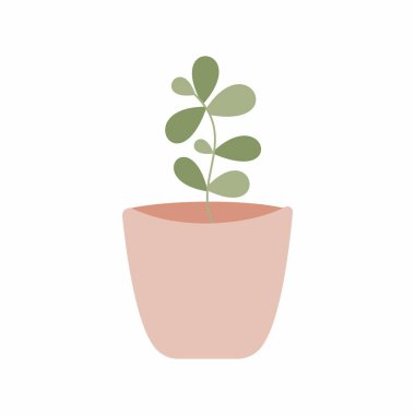 Şirin bir kaktüs. Kaktüs süsleme resmi. Çok az..