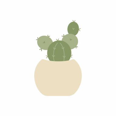 Şirin bir kaktüs. Kaktüs süsleme resmi. Çok az..