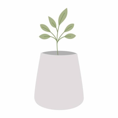 Şirin bir kaktüs. Kaktüs süsleme resmi. Çok az..