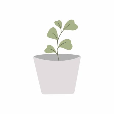 Şirin bir kaktüs. Kaktüs süsleme resmi. Çok az..