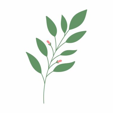 Yeşil yaprak vektör çizimi. Dekoratif çerçeve. Dekoratif yaprak ögesi.