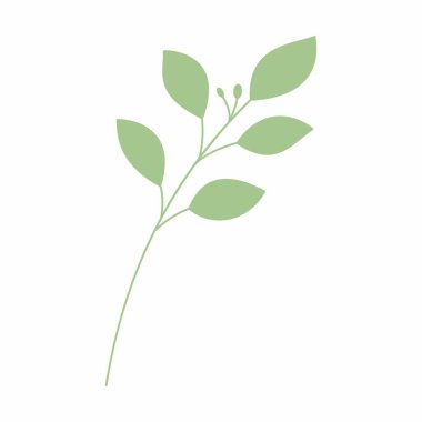 Yeşil yaprak vektör çizimi. Dekoratif çerçeve. Dekoratif yaprak ögesi.