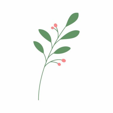 Yeşil yaprak vektör çizimi. Dekoratif çerçeve. Dekoratif yaprak ögesi.