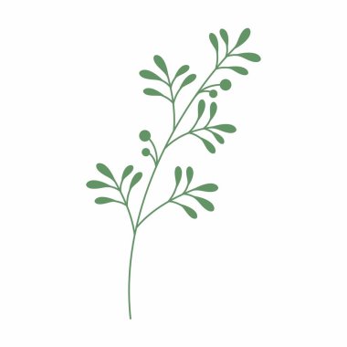 Yeşil yaprak vektör çizimi. Dekoratif çerçeve. Dekoratif yaprak ögesi.