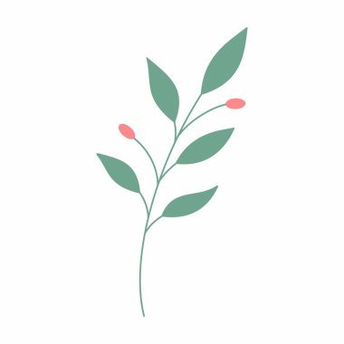 Yeşil yaprak vektör çizimi. Dekoratif çerçeve. Dekoratif yaprak ögesi.