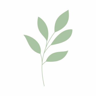 Yeşil yaprak vektör çizimi. Dekoratif çerçeve. Dekoratif yaprak ögesi.
