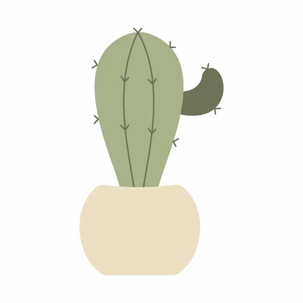 Vector Schattig Cactus Leuke Cactus Decoratie Foto Minimaal — Stockfoto