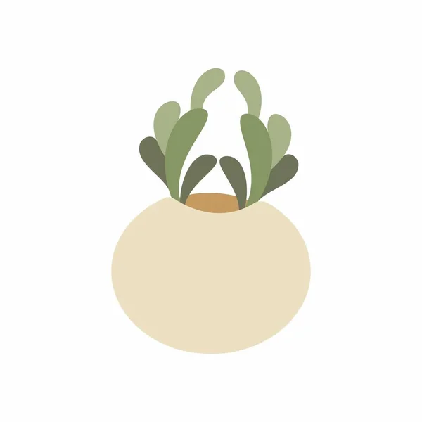 Gambar Dekorasi Kaktus Manis Vektor Kaktus Cute Minimal — Stok Foto