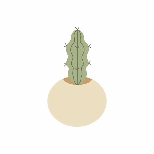 Vektor Roztomilý Kaktus Roztomilý Kaktus Dekorace Obrázek Minimální — Stock fotografie