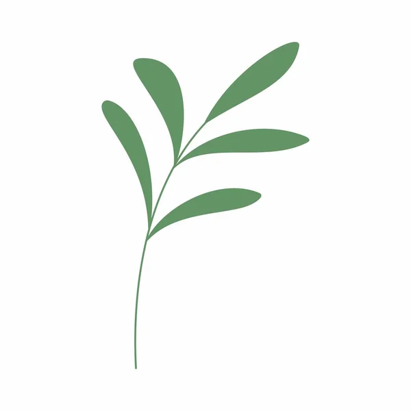 Groen Blad Vector Illustratie Decoratief Frame Decoratief Bladelement — Stockfoto