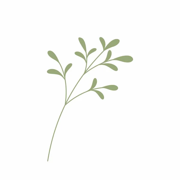 Ilustracja Wektora Zielonego Liścia Dekoracyjna Rama Element Dekoracyjny Liści — Zdjęcie stockowe