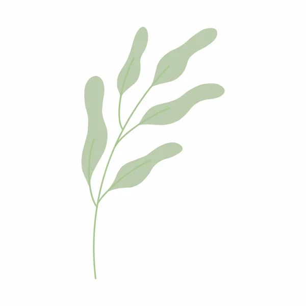 Green Leaf Vector Illustration Decorative Frame Decorative Leaf Element — Stock Photo, Image