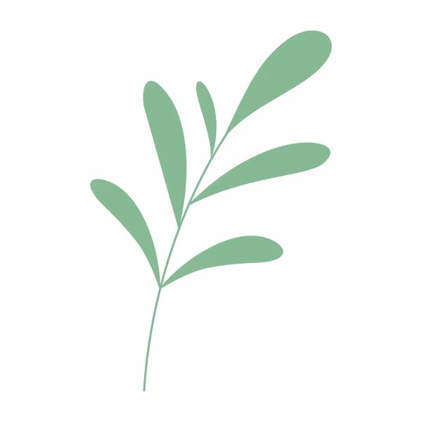 Ilustração Vetorial Folha Verde Moldura Decorativa Elemento Decorativo Folha — Fotografia de Stock