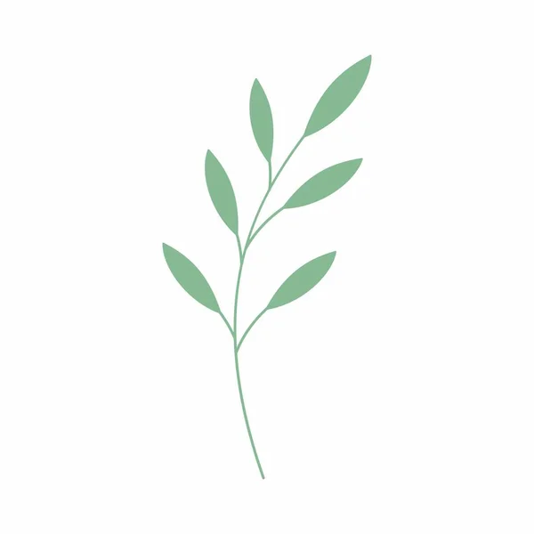 Gröna Blad Vektor Illustration Dekorativ Ram Dekorativa Bladelement — Stockfoto