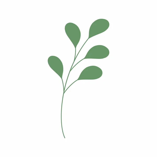 Yeşil Yaprak Vektör Çizimi Dekoratif Çerçeve Dekoratif Yaprak Ögesi — Stok fotoğraf