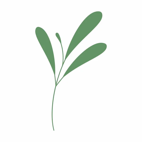 Зелений Лист Векторні Ілюстрації Декоративна Рамка Декоративний Листовий Елемент — стокове фото