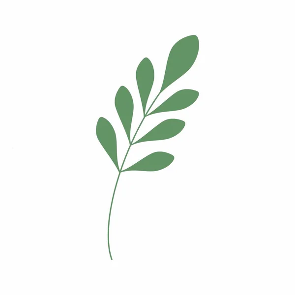 Green Leaf Vector Illustration Decorative Frame Decorative Leaf Element — Stock Photo, Image