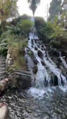 Ormanda güzel bir şelale