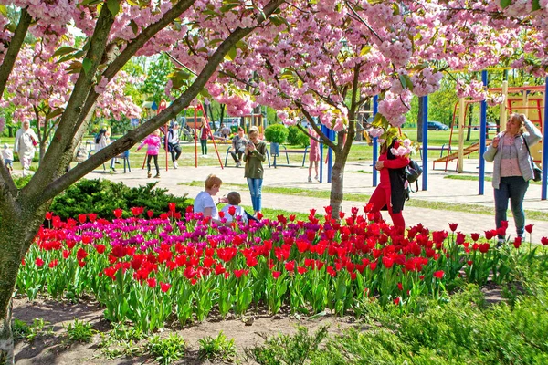 Kiev Ucrania Mayo 2023 Día Primavera Parque Kiev Con Tulipanes — Foto de Stock