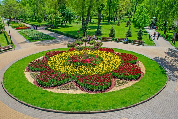 stock image City recreation area. Large round flower bed with tulips. May bloom. Spring mood