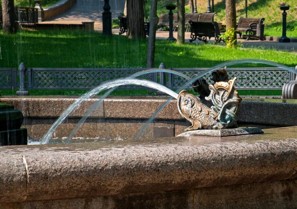 Фонтан Городском Парке Бронзовые Скульптуры Рыб Струями Воды — стоковое фото