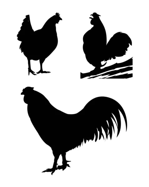 Chicken Vector Hen Vector Silhouette Black White Chickens — 스톡 벡터