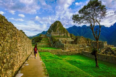 Machu Picchu 'nun İnka kalesi. Cusco Peru