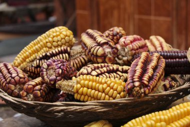 Güneşte kurutulmuş çeşitli renklerde mısır, Peru 'nun yerli patatesleri.