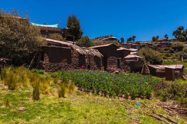 Taquile Adası köyü kendi yolunda yürüyor. Taquile Adası Puno Peru.