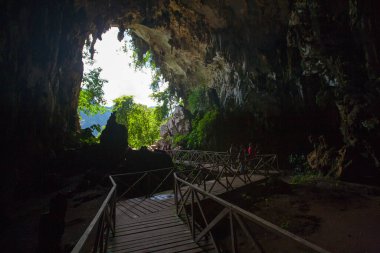 Tingo Maria, Peru 'daki baykuşların mağarasında dikitler