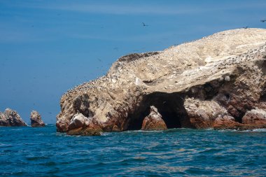 Ballestas Adaları, önemli deniz biyolojik çeşitliliği ve eko-turizm için macera sporları. Paracas Peru,