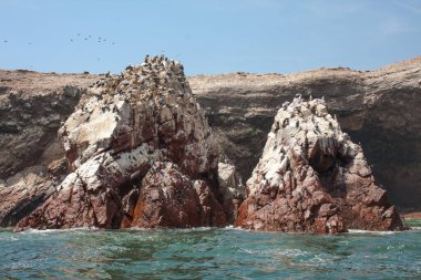 Ballestas Adaları, önemli deniz biyolojik çeşitliliği ve eko-turizm için macera sporları. Paracas Peru,