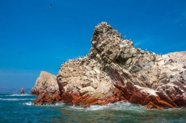 Ballestas Adaları, önemli deniz biyolojik çeşitliliği ve eko-turizm için macera sporları. Paracas Peru,