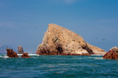 Ballestas Adaları, önemli deniz biyolojik çeşitliliği ve eko-turizm için macera sporları. Paracas Peru,