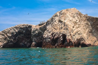 Ballestas Adaları, önemli deniz biyolojik çeşitliliği ve eko-turizm için macera sporları. Paracas Peru,