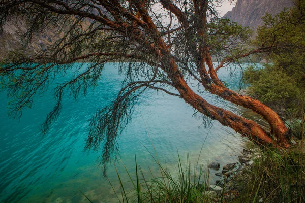 Langanuco Laguna Krystalickými Tyrkysovými Vodami Pohoří Cordillera Blanca Huaraz Ancash — Stock fotografie