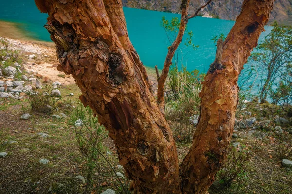 Llanganuco Lagoon Crystalline Turquoise Waters Cordillera Blanca Huaraz Mountains Ancash — Stock Photo, Image