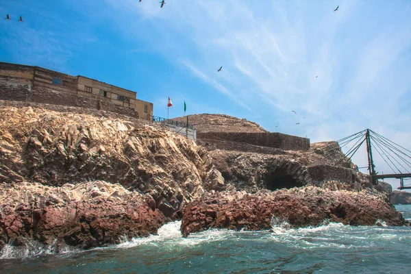 Ballestasöarna Viktig Marin Biologisk Mångfald Och Äventyrssporter För Ekoturism Paracas — Stockfoto