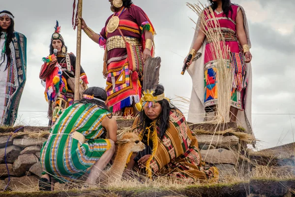 Inkaski Rytuał Świętujący Wełnę Vicua Tradycyjnym Chaccu Pampas Galeras Czerwca — Zdjęcie stockowe