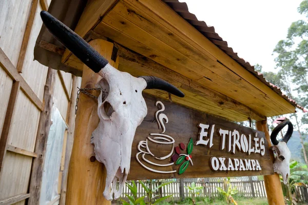 Traditioneel Koffiehuis Met Koffiebonen — Stockfoto