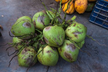 Taze hindistan cevizi meyvesi. 