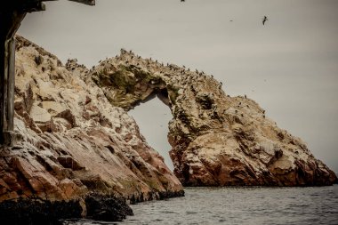 Açık denizde kayalar ve kuş gözü Paracas Peru 'nun yakın çekimi.