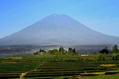 Mount Bromo, Endonezya - Şubat 22: Cava 'da nefis bir bromo manzarası. Bromo turistlerin ilgi odağı. 
