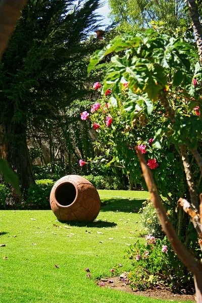 Een Prachtige Tuin Met Een Grote Bloem — Stockfoto
