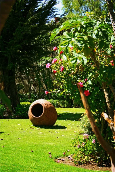 Hermoso Jardín Día Verano — Foto de Stock