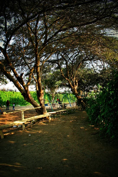 Hermosa Vista Del Parque — Foto de Stock